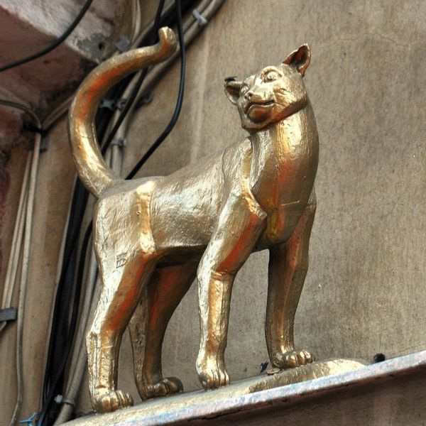 ��� � �����: ��� ������ � ����� ��������