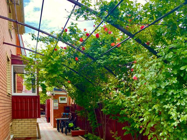 ��� ��������, �������� ��� ����