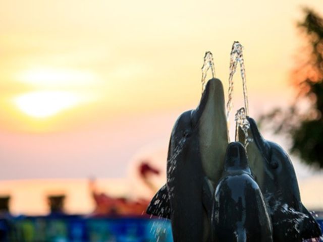 ����� � �����, �� ������